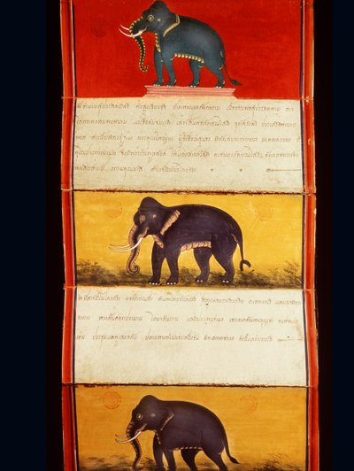 Foglio di un manoscritto sull