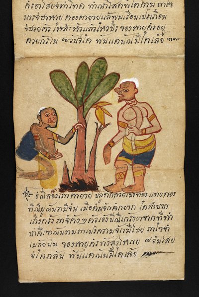 Satra, sulla divinazione e consigli per una vita felice e sana da Thai School