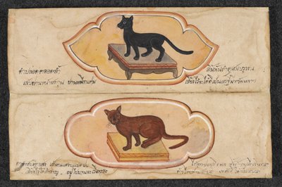 Gatti siamesi, Fol. 1: due gatti fortunati per sostenere gli affari e l