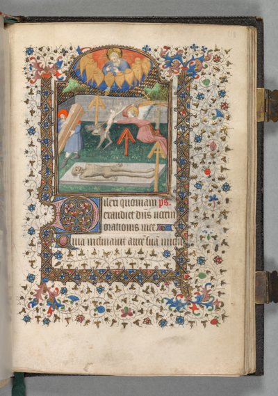 Libro d