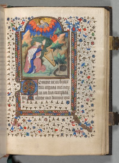 Libro delle Ore Uso di Parigi: Fol. 77r, David, c. 1420 da The Bedford Master
