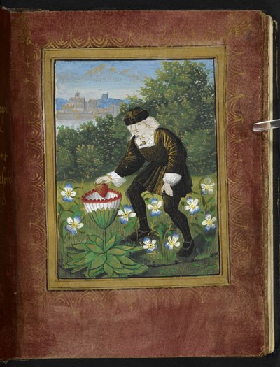Miniatura di Pierre Sala che lascia cadere 