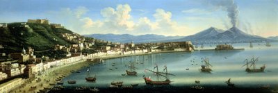Napoli, dalle alture di Posillipo con il Vesuvio in lontananza, 1740 da The Metropolitan Master