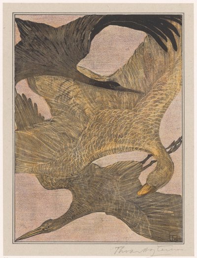 Tre uccelli in volo da Theo van Hoytema (signed by artist)