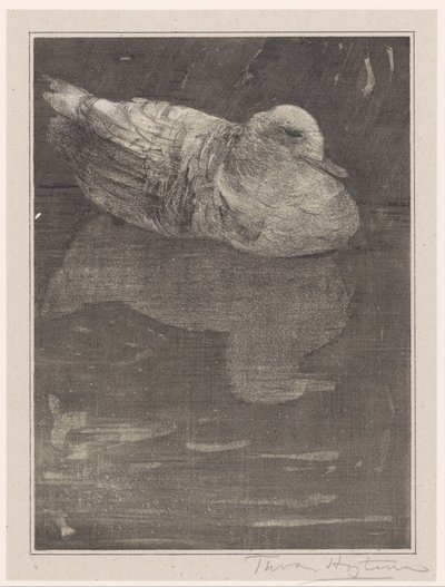 Anatra galleggiante da Theo van Hoytema (signed by artist)