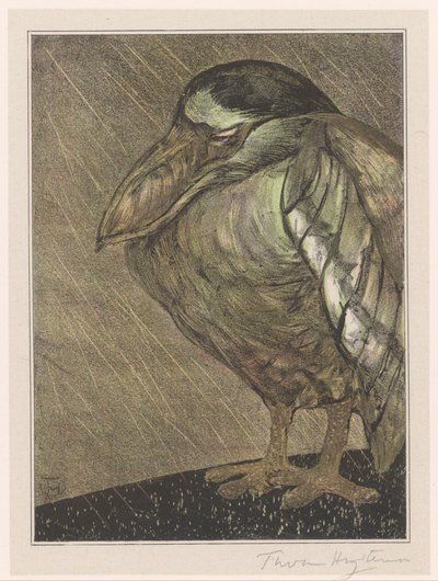 Airone in pioggia da Theo van Hoytema (signed by artist)