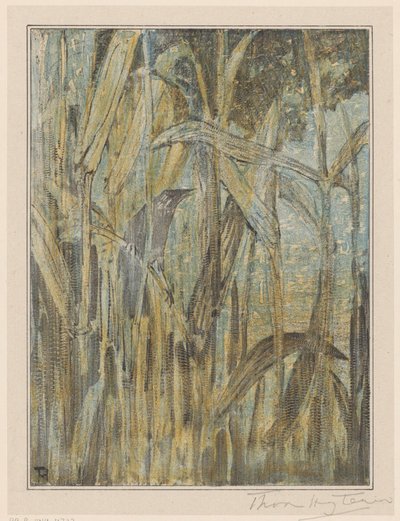 Uccello tra le canne da Theo van Hoytema (signed by artist)