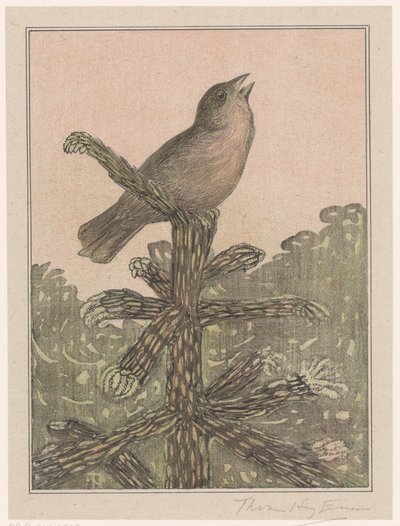 Uccello canoro su un pino da Theo van Hoytema (signed by artist)