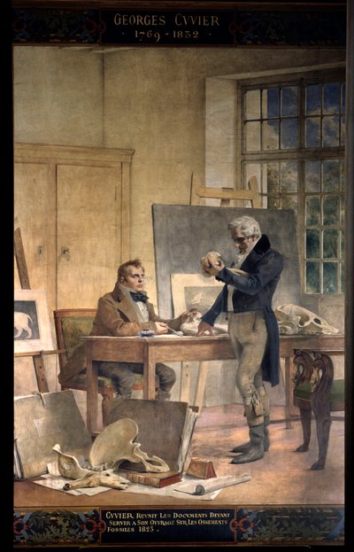 Paleontologia: il barone Georges Cuvier (1769-1832) riunisce i documenti per il suo lavoro sulle ossa fossili. Affresco di Théobald Chartran (1849-1907). Università della Sorbona, Parigi da Theobald Chartran