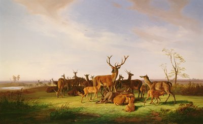 Un branco di cervi in un pascolo illuminato dal sole da Theodor Julius Kiellerup