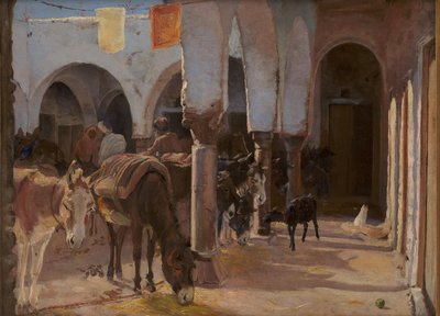 Una casa di asini a Tunisi da Theodor Philipsen