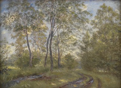 Un fiume vicino a Meilgård Manor, Jutlandia da Theodor Philipsen