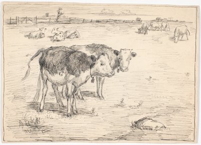 Un paio di vitelli su "Fladen", Saltholm da Theodor Philipsen