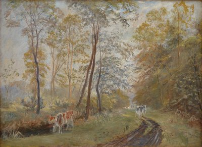Il fiume Sorteaa vicino alla tenuta di Mejlgaard, Jutland da Theodor Philipsen