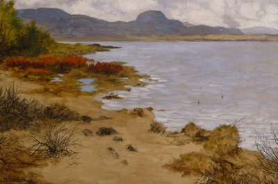 Sezione di spiaggia a Soneren (Andersnatten) da Theodor Kittelsen