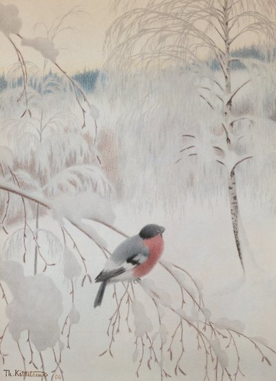 Ciuffolotto da Theodor Kittelsen
