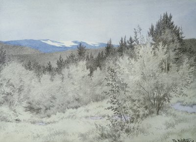 Lontano nella foresta da Theodor Kittelsen