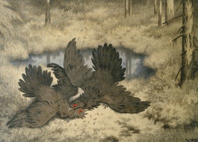 La lotta degli uccelli troll lì dentro da Theodor Kittelsen