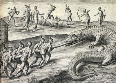 Nativi americani nudi che cacciano alligatori in Florida, USA da Theodor de Bry