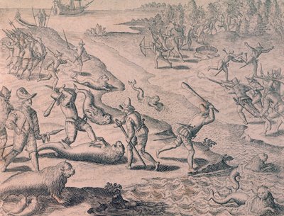 Massacro di leoni marini da parte degli esploratori da Theodor de Bry