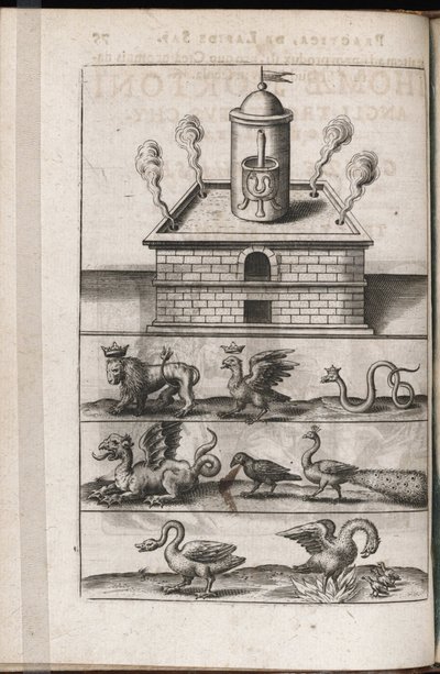 Un forno di alchimia e animali simbolici dell