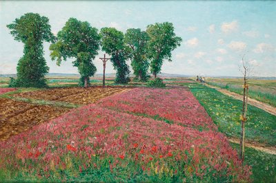 Il grande campo di esparceto a Znaim IV da Theodor von Hormann