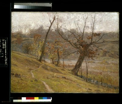 Il fiore della vite da Theodore Clement Steele