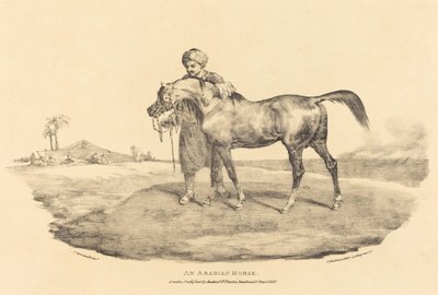 Un cavallo arabo da Theodore Gericault