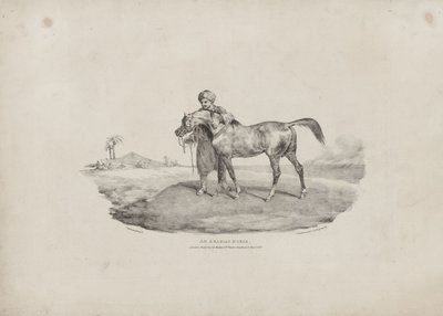  da Theodore Gericault