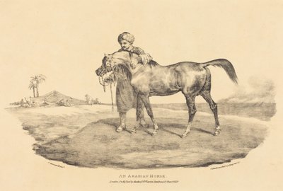 Un cavallo arabo da Theodore Gericault