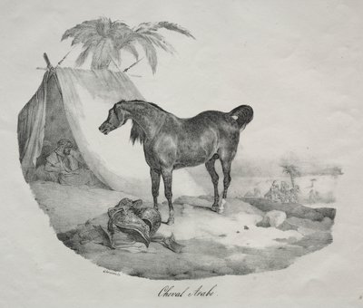Cavallo arabo da Theodore Gericault