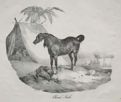 Cavallo arabo da Theodore Gericault
