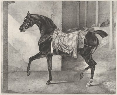 Un cavallo nero legato in una stalla da Theodore Gericault