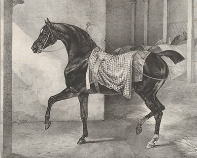 Cavallo nero legato in una stalla, 1822 da Theodore Gericault