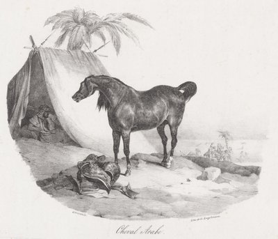Cavallo arabo (An Arabian Horse) da Theodore Gericault