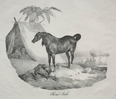 Cavallo arabo da Theodore Gericault