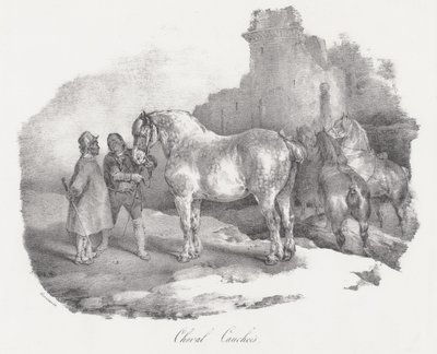 Cheval Cauchois (una razza equina autoctona di Caux, in Normandia) da Theodore Gericault