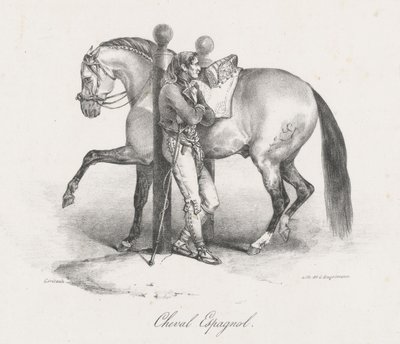 Cavallo spagnolo (A Spanish Horse) da Theodore Gericault