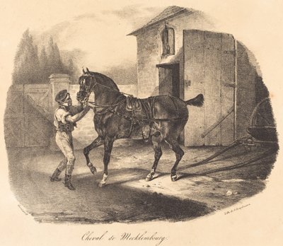 Cavallo di Meclemburgo da Theodore Gericault