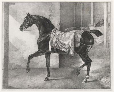 Cavallo nero legato in una stalla (A Black Horse Tethered in a Stable) da Theodore Gericault