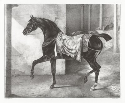 Cavallo nero legato in una stalla (A Black Horse Tethered in a Stable) da Theodore Gericault