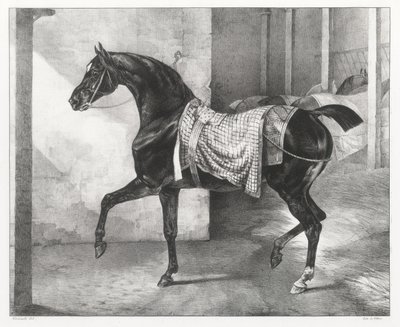 Cavallo nero legato in una stalla (A Black Horse Tethered in a Stable) da Theodore Gericault