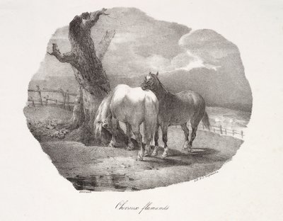 Cavalli fiamminghi da Theodore Gericault