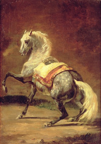 Cavallo grigio maculato da Theodore Gericault