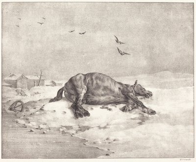 Cavallo morto da Theodore Gericault