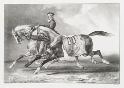 Due cavalli grigi screziati che vengono portati a passeggio (Two Dapple-Grays Being Exercised) da Theodore Gericault