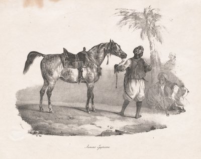 Cavalla egiziana da Theodore Gericault