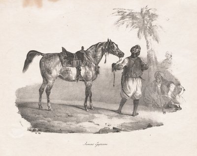 Cavalla Egiziana da Theodore Gericault