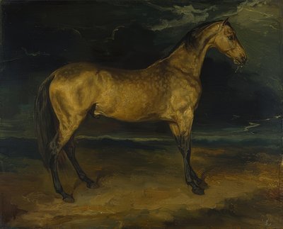 Un cavallo nella tempesta da Theodore Gericault