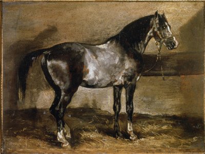Cavallo grigio al rastrelliere da Theodore Gericault